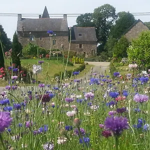 Manoir De La Branche Couette-café